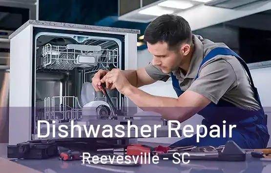  Dishwasher Repair Reevesville - SC