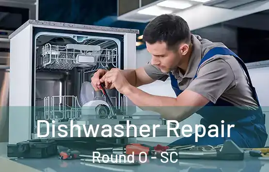  Dishwasher Repair Round O - SC