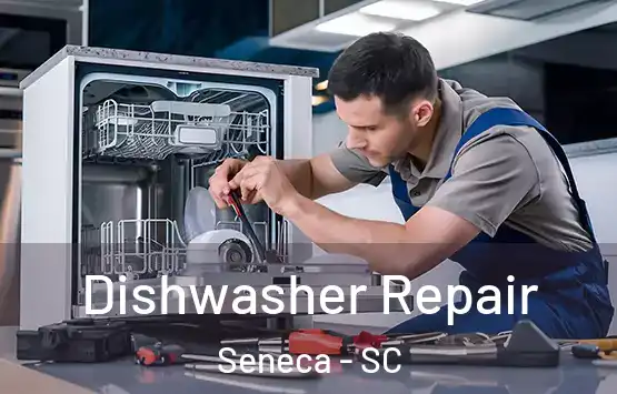  Dishwasher Repair Seneca - SC