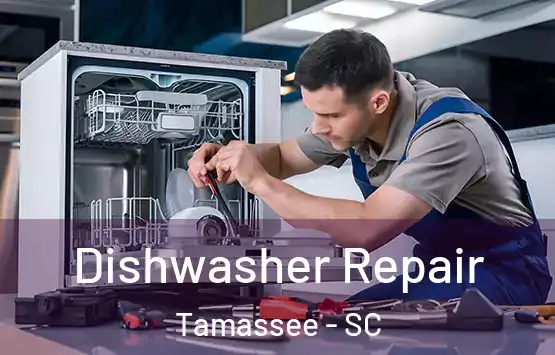  Dishwasher Repair Tamassee - SC