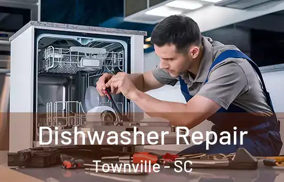  Dishwasher Repair Townville - SC