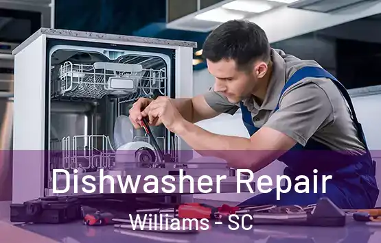  Dishwasher Repair Williams - SC