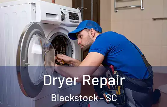  Dryer Repair Blackstock - SC
