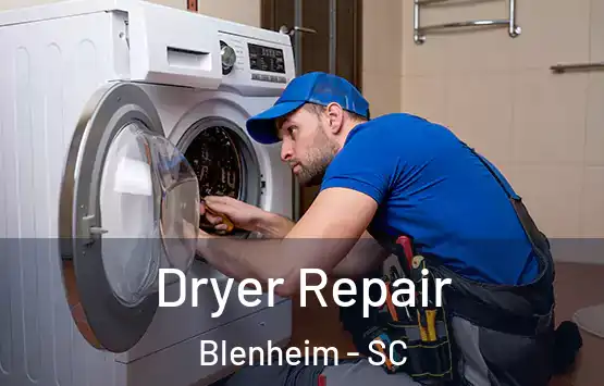  Dryer Repair Blenheim - SC