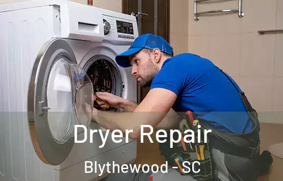  Dryer Repair Blythewood - SC