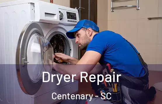  Dryer Repair Centenary - SC