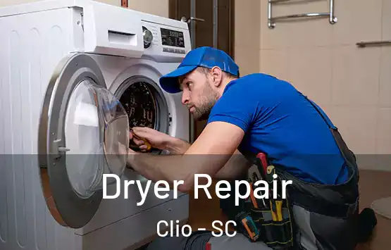  Dryer Repair Clio - SC