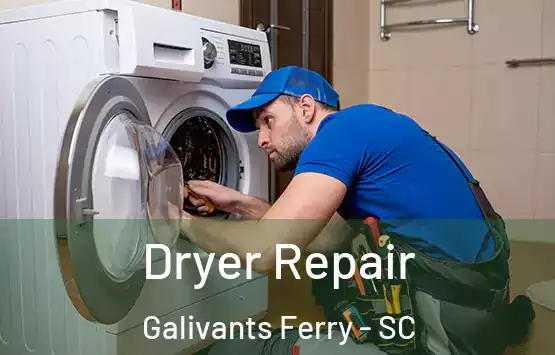  Dryer Repair Galivants Ferry - SC