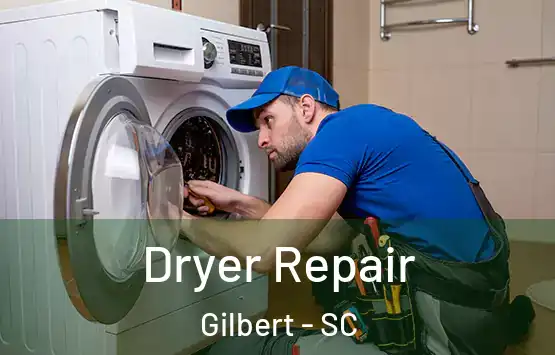 Dryer Repair Gilbert - SC