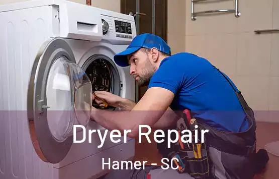  Dryer Repair Hamer - SC