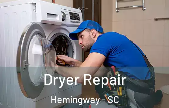  Dryer Repair Hemingway - SC