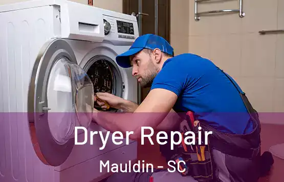  Dryer Repair Mauldin - SC