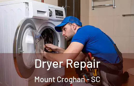  Dryer Repair Mount Croghan - SC