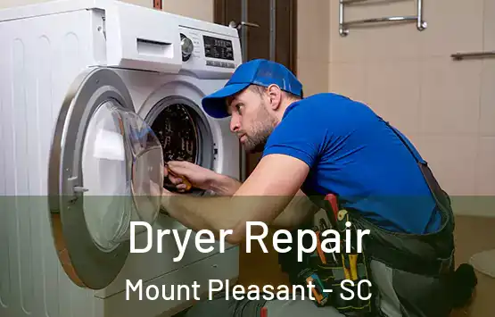  Dryer Repair Mount Pleasant - SC