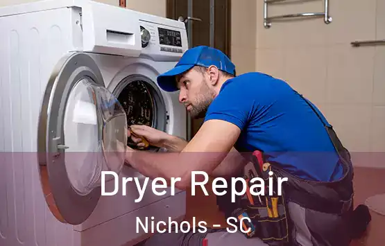  Dryer Repair Nichols - SC