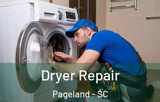  Dryer Repair Pageland - SC
