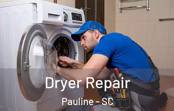 Dryer Repair Pauline - SC