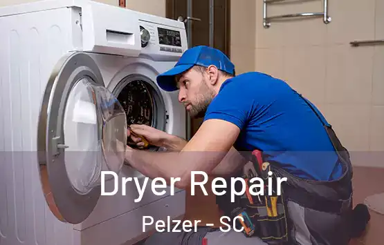  Dryer Repair Pelzer - SC