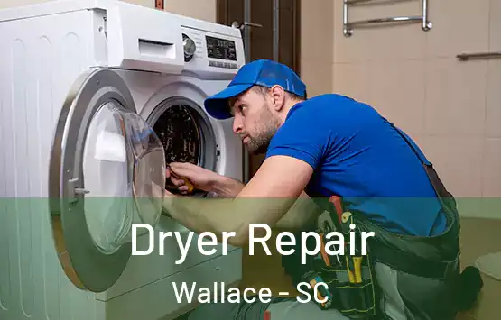  Dryer Repair Wallace - SC