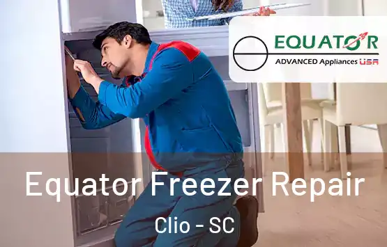  Equator Freezer Repair Clio - SC