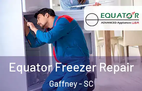  Equator Freezer Repair Gaffney - SC
