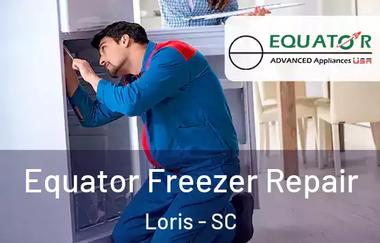  Equator Freezer Repair Loris - SC