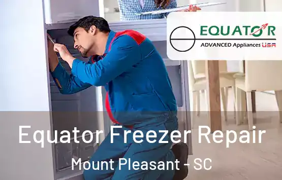  Equator Freezer Repair Mount Pleasant - SC