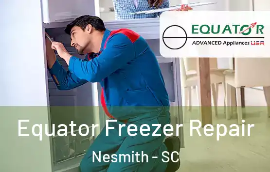  Equator Freezer Repair Nesmith - SC