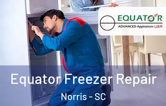  Equator Freezer Repair Norris - SC