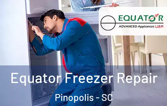  Equator Freezer Repair Pinopolis - SC