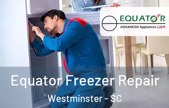  Equator Freezer Repair Westminster - SC
