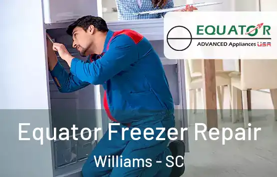  Equator Freezer Repair Williams - SC