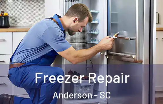  Freezer Repair Anderson - SC