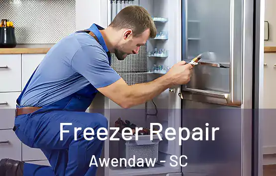  Freezer Repair Awendaw - SC