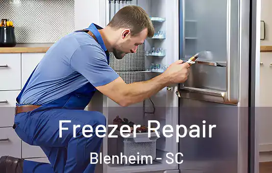  Freezer Repair Blenheim - SC