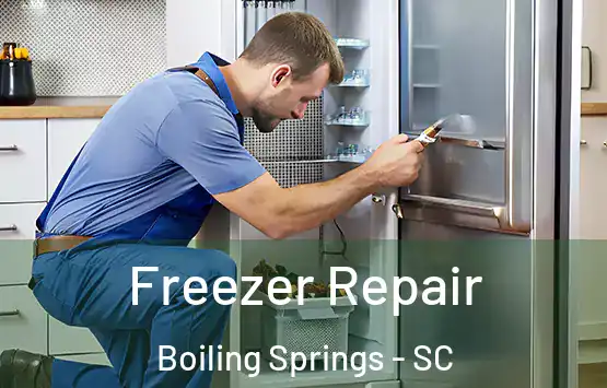  Freezer Repair Boiling Springs - SC