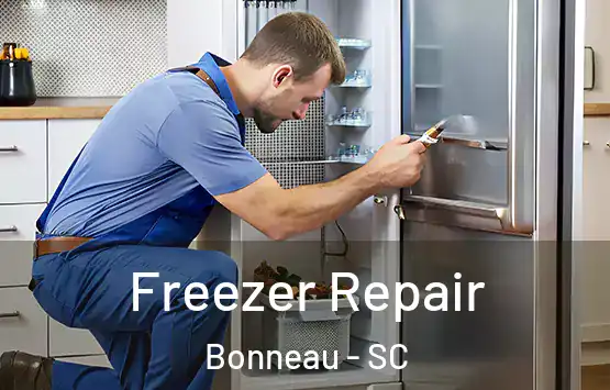  Freezer Repair Bonneau - SC