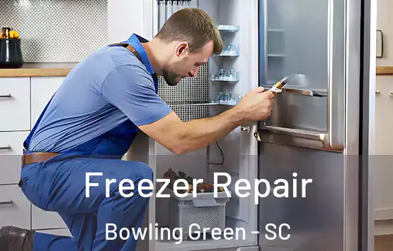  Freezer Repair Bowling Green - SC