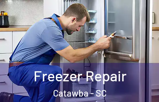  Freezer Repair Catawba - SC
