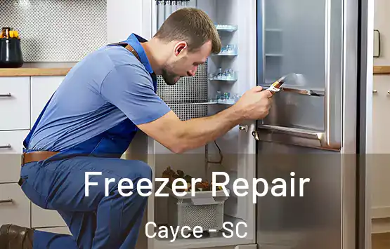  Freezer Repair Cayce - SC