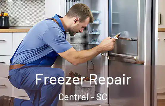  Freezer Repair Central - SC