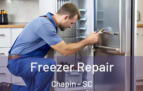  Freezer Repair Chapin - SC