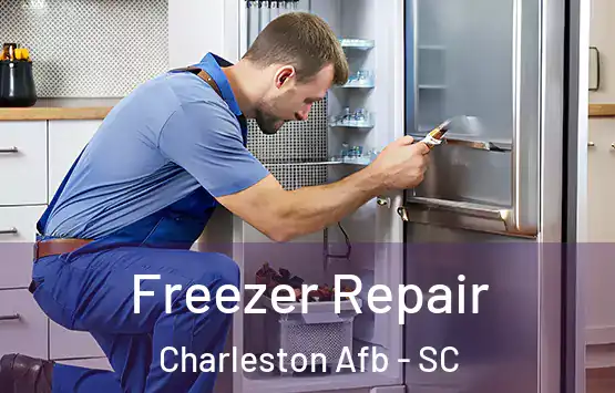  Freezer Repair Charleston Afb - SC