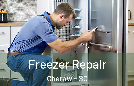  Freezer Repair Cheraw - SC