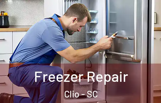  Freezer Repair Clio - SC