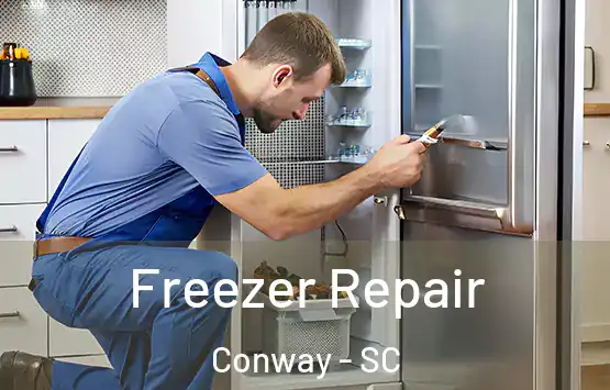  Freezer Repair Conway - SC