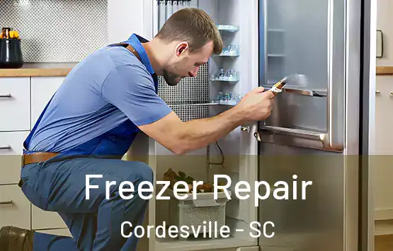  Freezer Repair Cordesville - SC