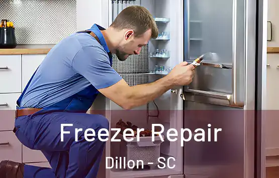  Freezer Repair Dillon - SC