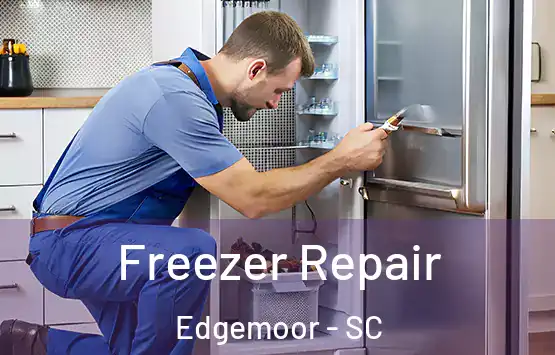  Freezer Repair Edgemoor - SC