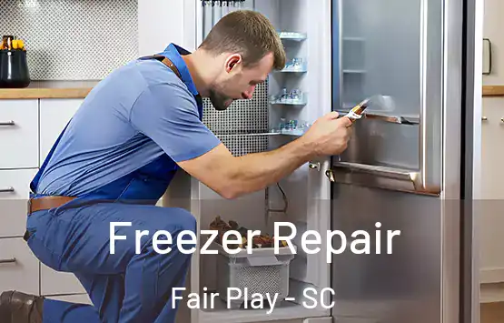  Freezer Repair Fair Play - SC